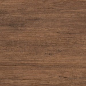 Illustration de TULIP Couleur