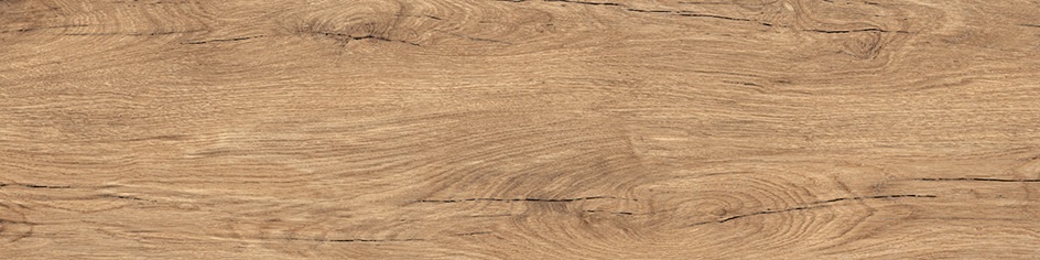 Illustration de NAVODA Couleur