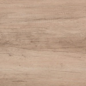 Illustration de TULIP Couleur