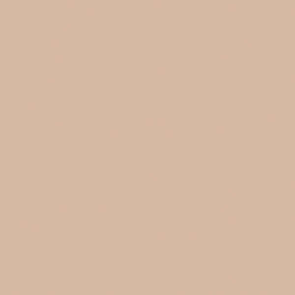 Illustration de TULIP Couleur