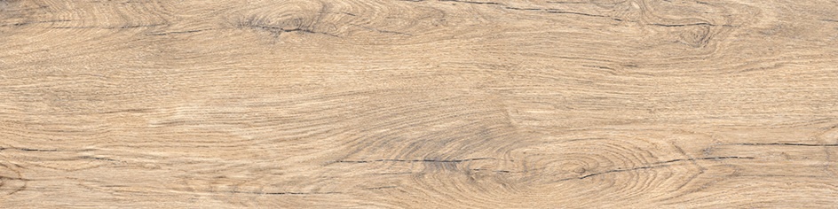 Illustration de NAVODA Couleur