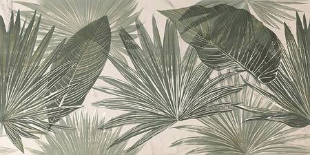 Illustration de PALMDALE Couleur