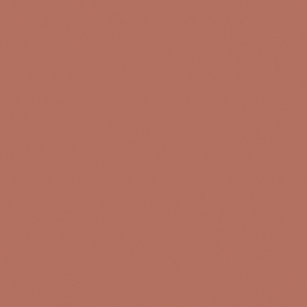 Illustration de TULIP Couleur