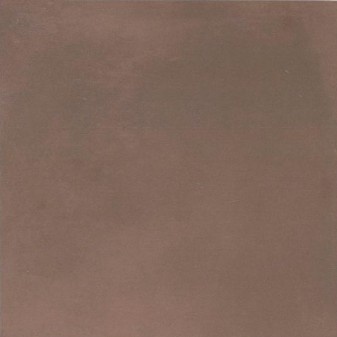 Illustration de SALINAE Couleur