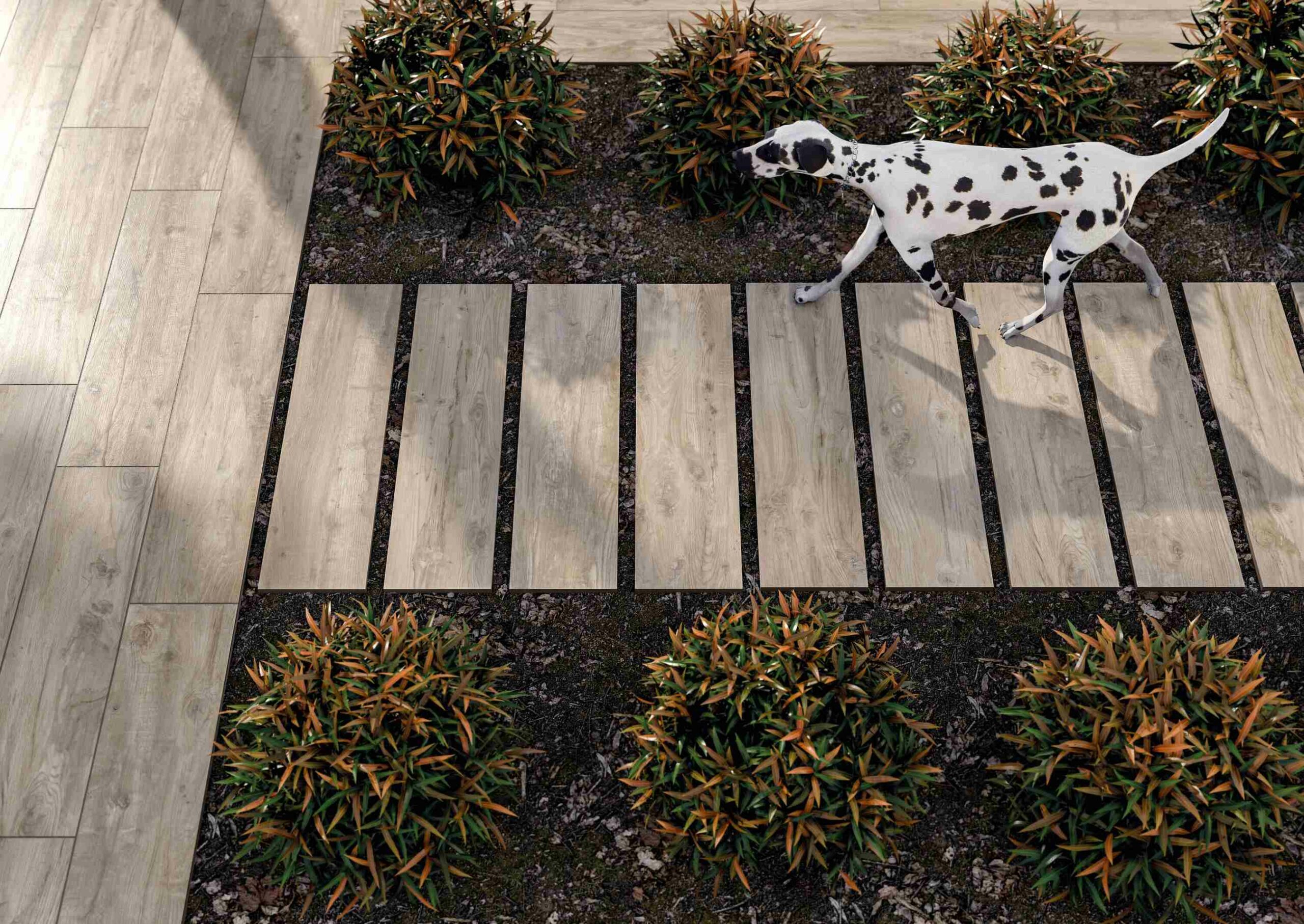 Illustration de MERIDA Ambiance