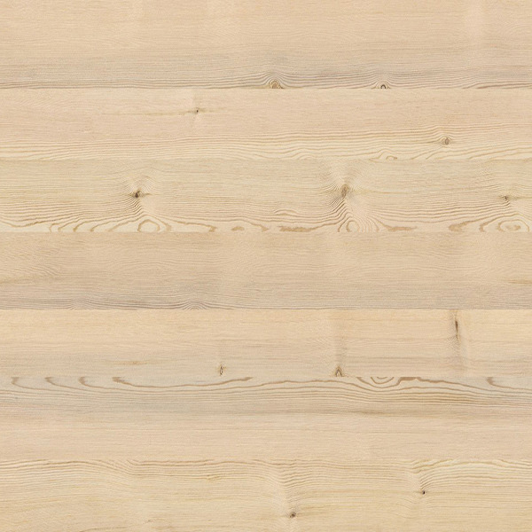 Illustration de AUDACIEUX Couleur