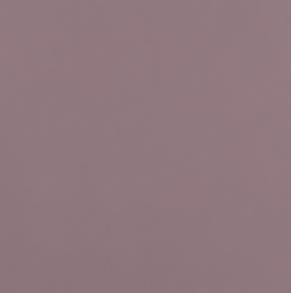 Illustration de TULIP Couleur