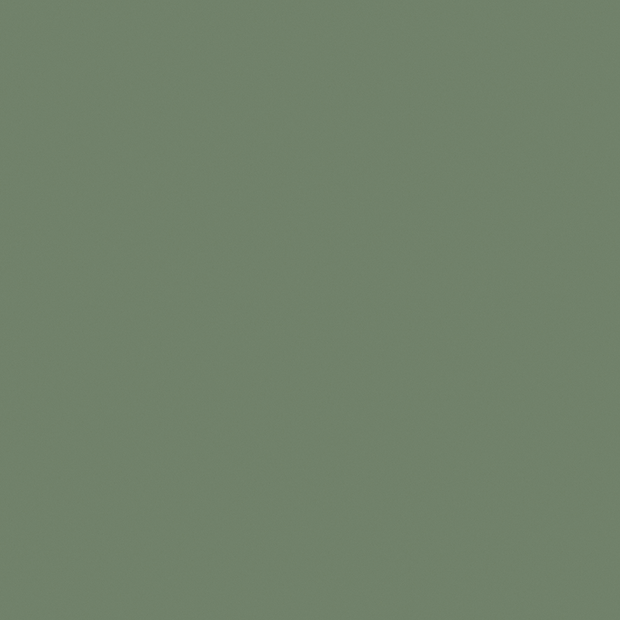 Illustration de AUDACIEUX Couleur