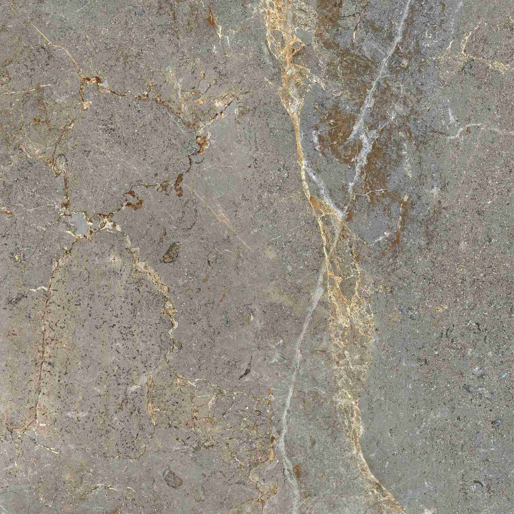 Illustration de IASI Couleur